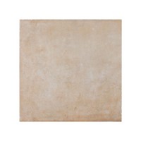 G365802 Terracotta Panna 33.3x33.3 cm Gol. A